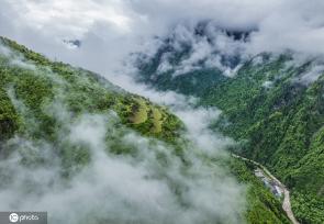 航拍四川阿坝奶子沟 层层起伏如林海