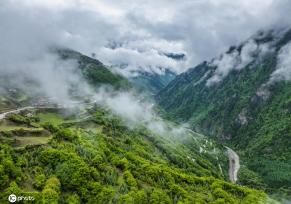 航拍四川阿坝奶子沟 层层起伏如林海