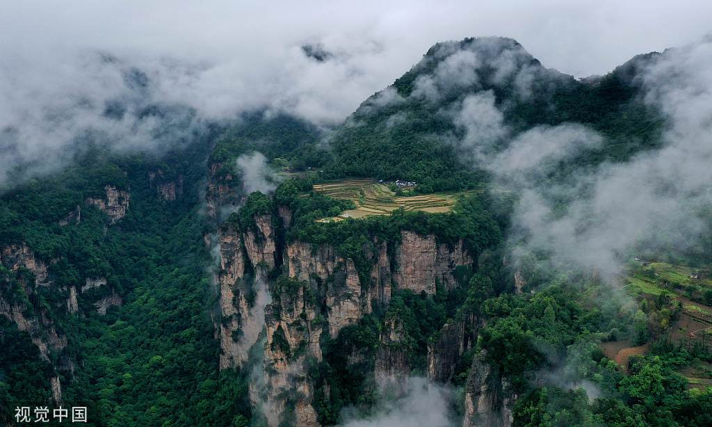湖南张家界：云漫峰林宛如水墨画卷