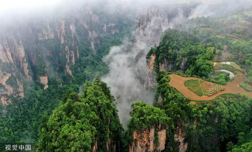 湖南张家界：云漫峰林宛如水墨画卷
