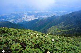 云南大理苍山杜鹃花开 壮美如画