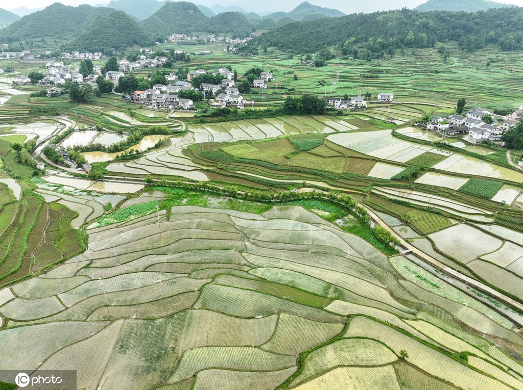贵州遵义：夏日田园美如画