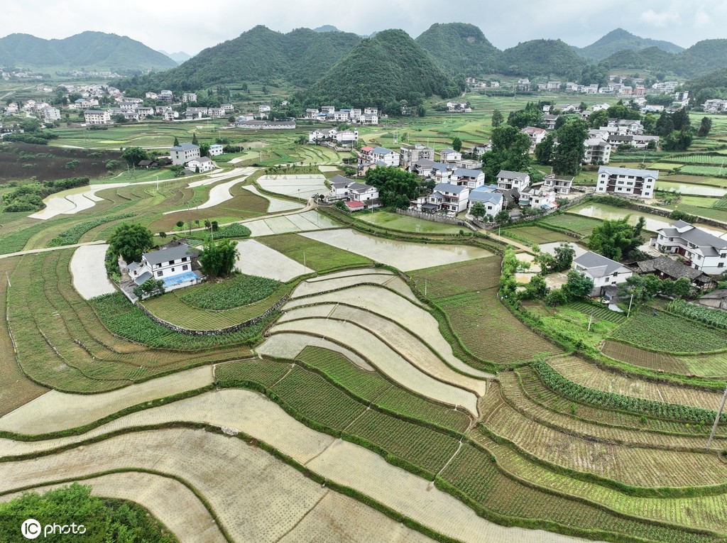 贵州遵义：夏日田园美如画
