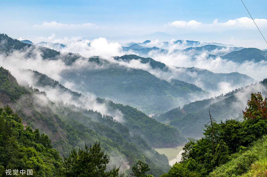 浙江永康：大寒山脉云遮雾绕 群山青翠