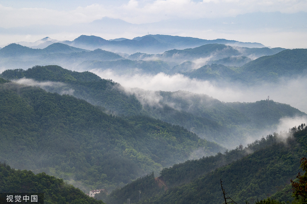 浙江永康：大寒山脉云遮雾绕 群山青翠