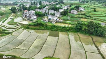 贵州遵义：夏日田园美如画