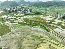 贵州遵义：夏日田园美如画