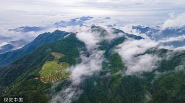 浙江永康：大寒山脉云遮雾绕 群山青翠