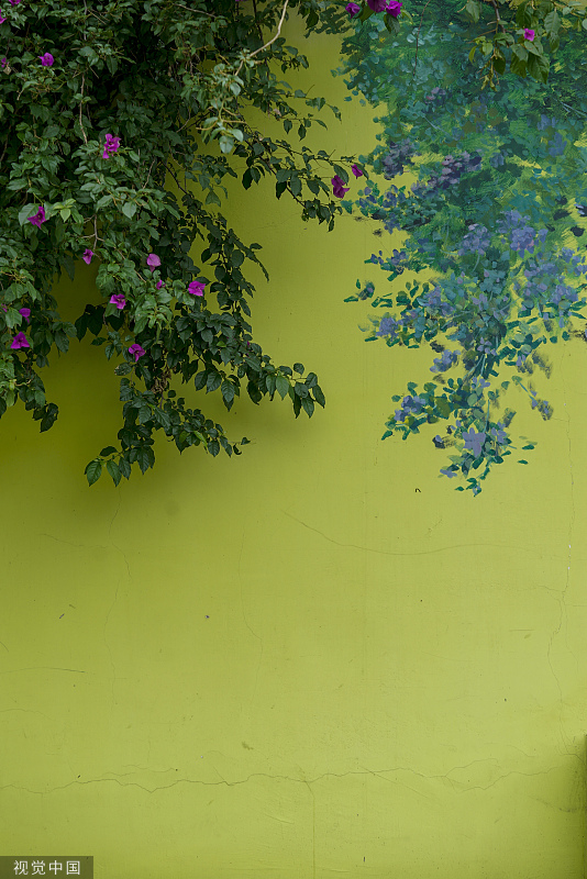 “手绘+绿植” 夏日创意景观画亮相成都街头