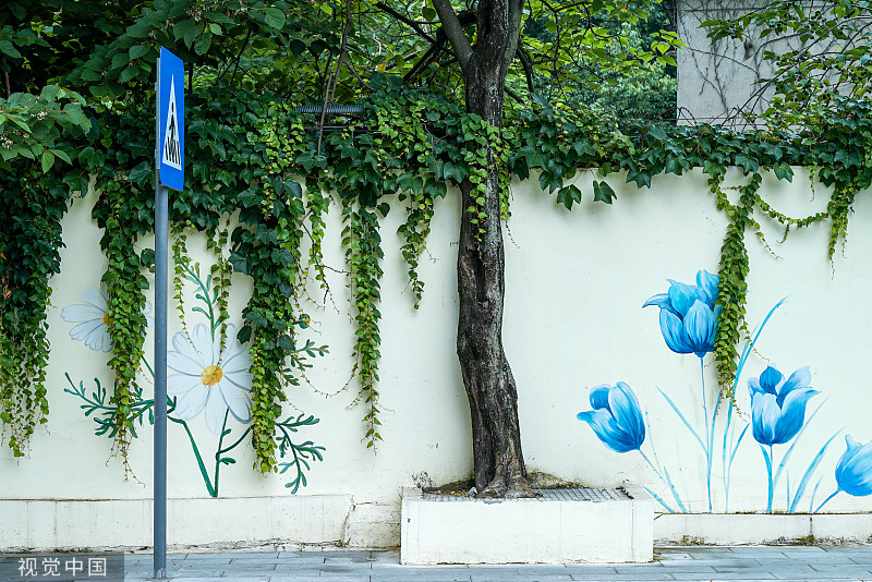 “手绘+绿植” 夏日创意景观画亮相成都街头
