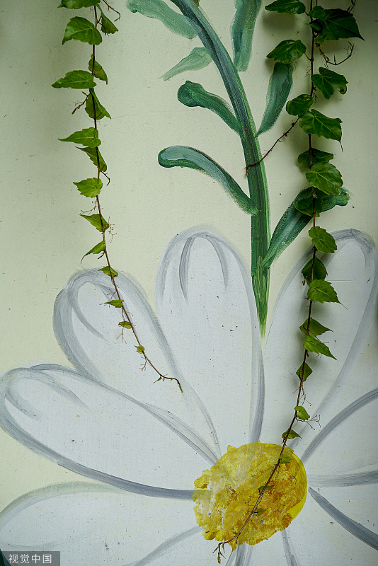 “手绘+绿植” 夏日创意景观画亮相成都街头