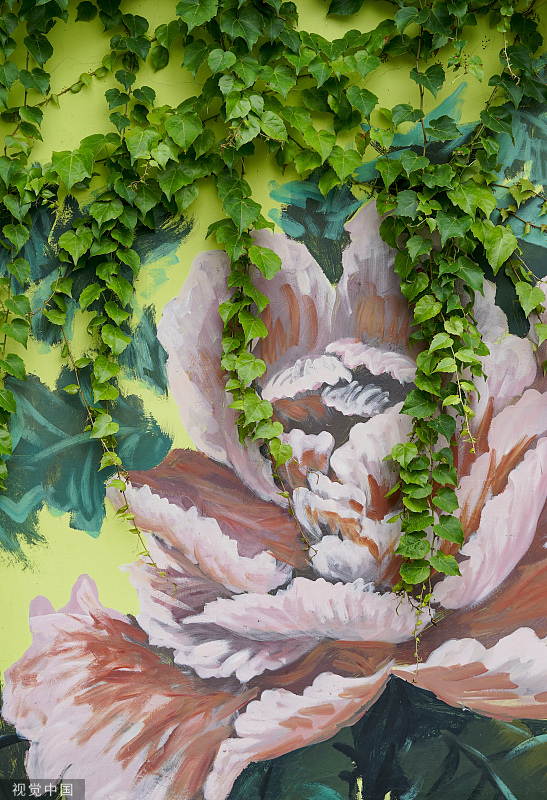 “手绘+绿植” 夏日创意景观画亮相成都街头