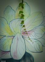 “手绘+绿植” 夏日创意景观画亮相成都街头