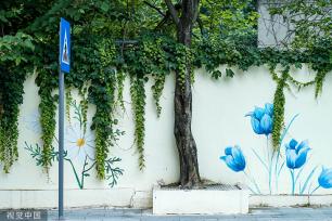 “手绘+绿植” 夏日创意景观画亮相成都街头