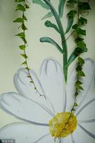 “手绘+绿植” 夏日创意景观画亮相成都街头