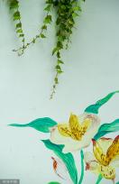 “手绘+绿植” 夏日创意景观画亮相成都街头