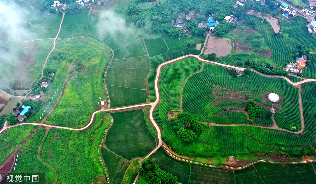 四川眉山：高标准农田建设让荒地重披“绿装”