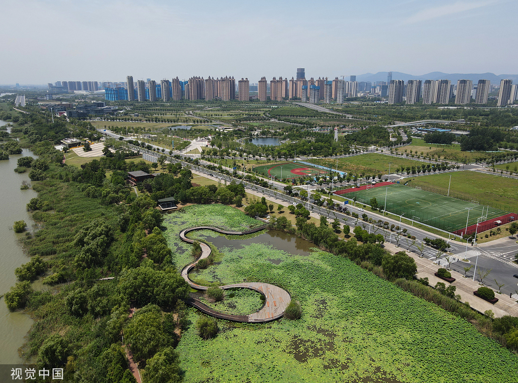 南京：滨江湿地公园荷花亭亭玉立