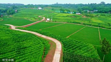 四川眉山：高标准农田建设让荒地重披“绿装”