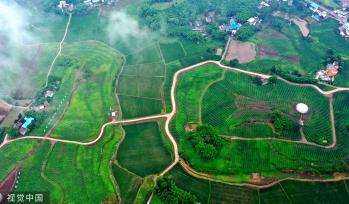 四川眉山：高标准农田建设让荒地重披“绿装”