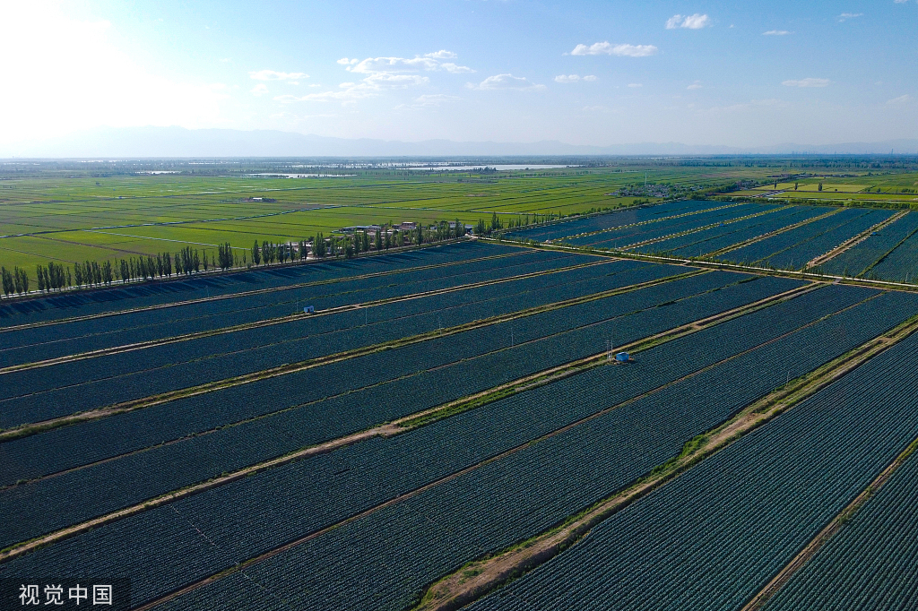 银川：塞上江南农田绿意盎然 黄河蜿蜒而行