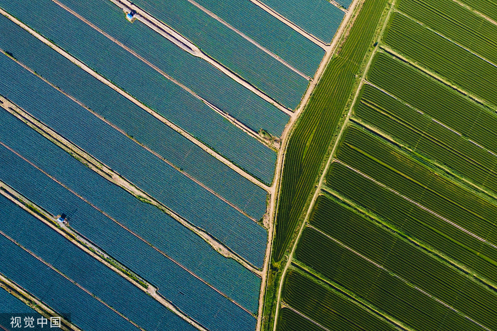 银川：塞上江南农田绿意盎然 黄河蜿蜒而行