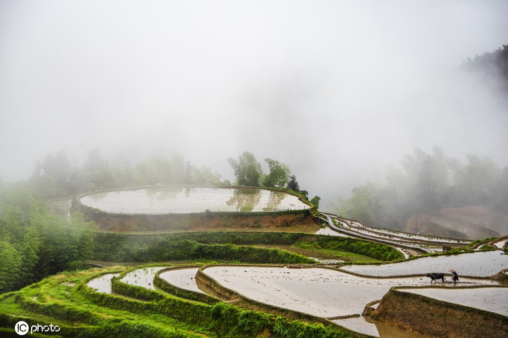 江西遂川：烟雨桃源风景如画