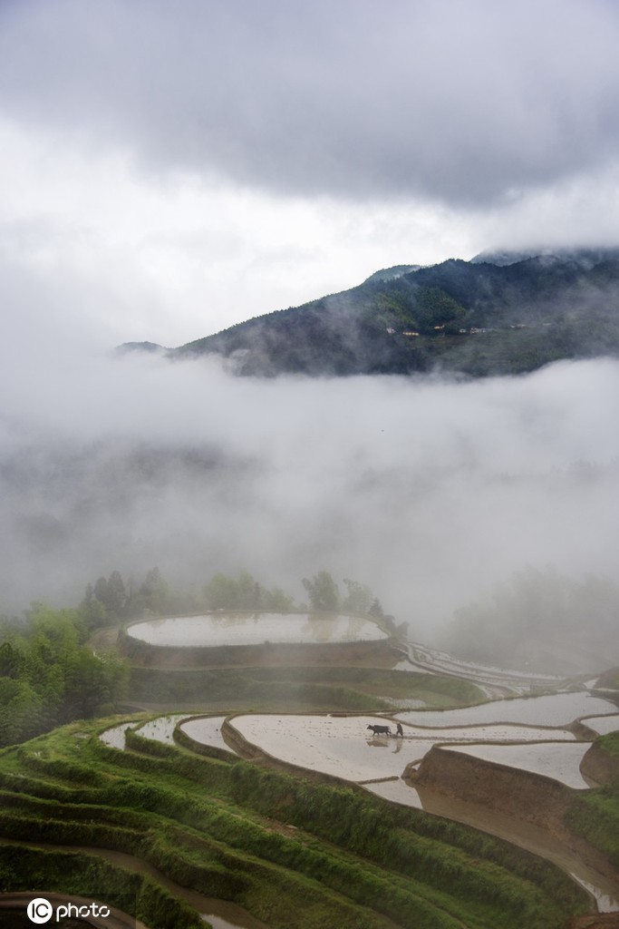 江西遂川：烟雨桃源风景如画