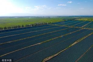 银川：塞上江南农田绿意盎然 黄河蜿蜒而行