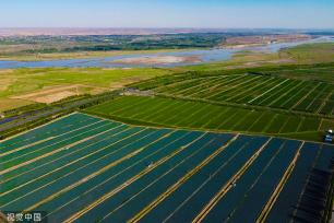 银川：塞上江南农田绿意盎然 黄河蜿蜒而行