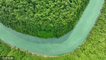 重庆：酉水河国家湿地公园绿意盎然