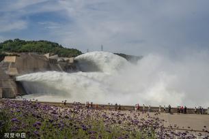 黄河调水调沙有序进行 小浪底泄水气势磅礴