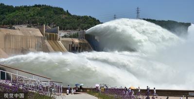 黄河调水调沙有序进行 小浪底泄水气势磅礴