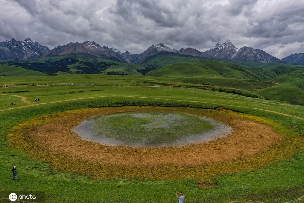 航拍四川理塘  夏日鲜花遍地色彩斑斓