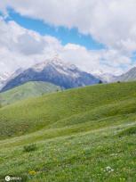 航拍四川理塘  夏日鲜花遍地色彩斑斓