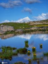 航拍四川理塘  夏日鲜花遍地色彩斑斓