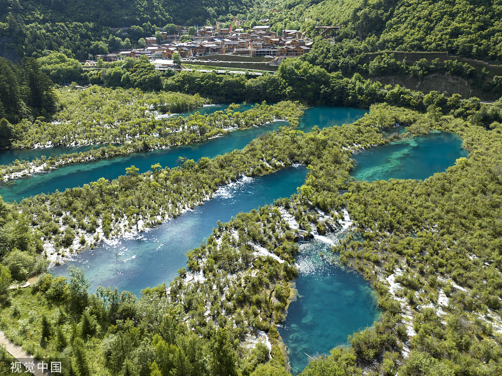 四川九寨沟迎来暑期旅游旺季 游客漫步林间