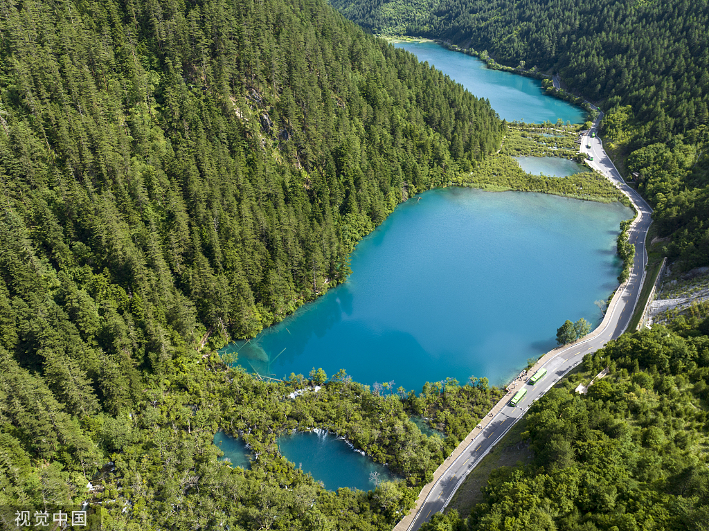 四川九寨沟迎来暑期旅游旺季 游客漫步林间