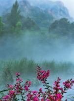 山东日照：潮白河雾气飘渺宛若仙境