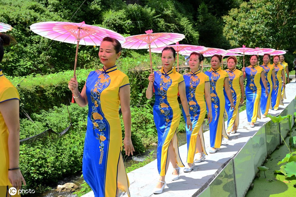 贵州锦屏：田园荷花竞绽放 夏日美景入画来