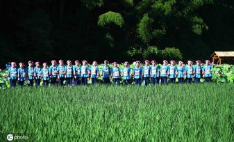 贵州锦屏：田园荷花竞绽放 夏日美景入画来