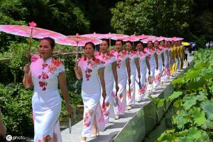 贵州锦屏：田园荷花竞绽放 夏日美景入画来