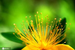 江苏淮安：雨后植物清新靓丽