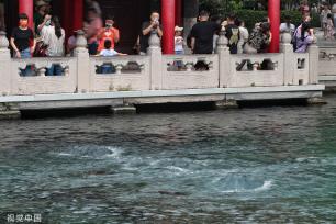 济南：趵突泉“喝饱” 地下水位持续回升