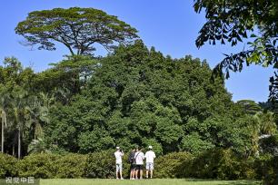 广州：华南国家植物园揭牌