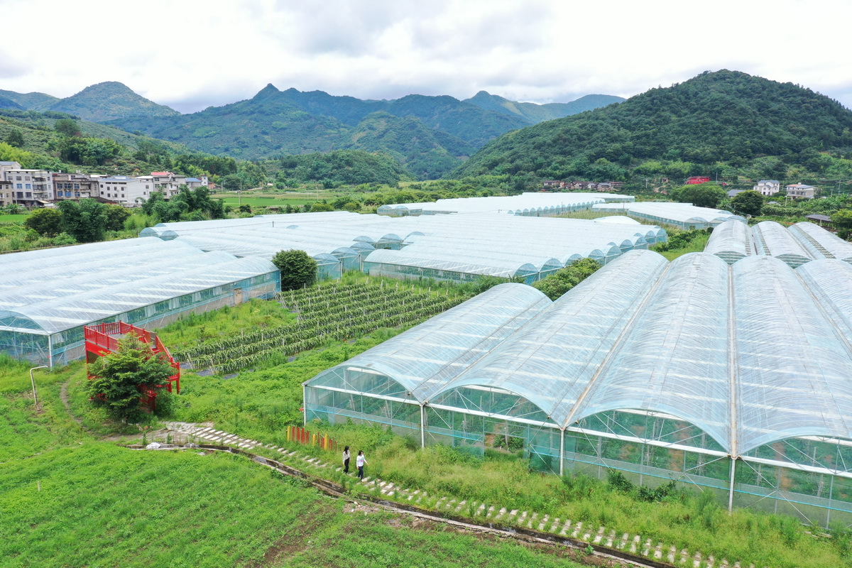 台湾母女田园创业记