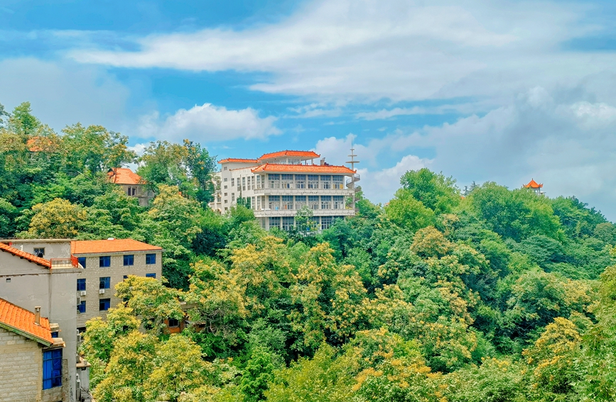 河南信阳：“醉”美鸡公山 盛夏无酷暑