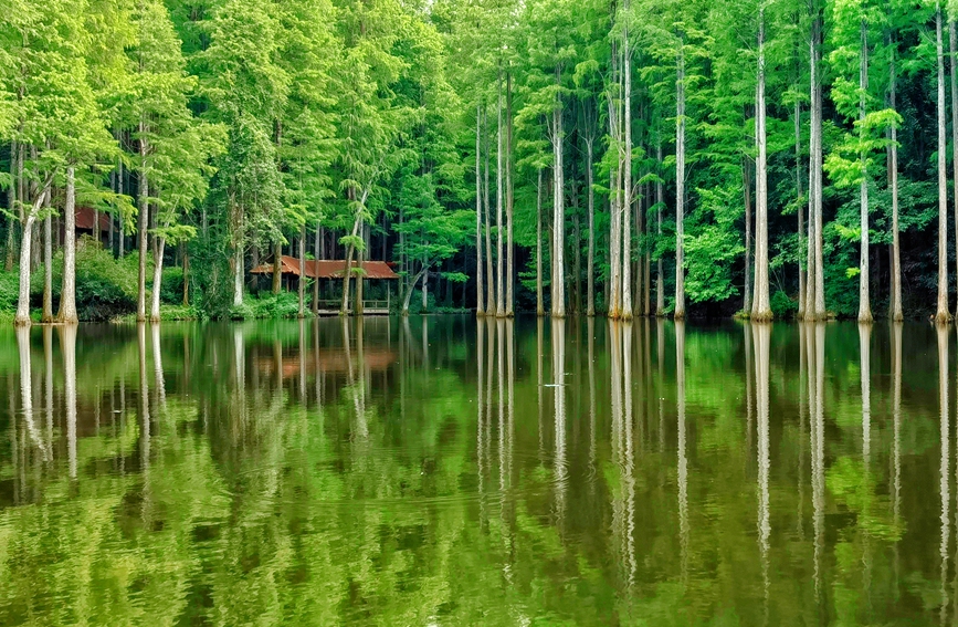河南信阳：“醉”美鸡公山 盛夏无酷暑