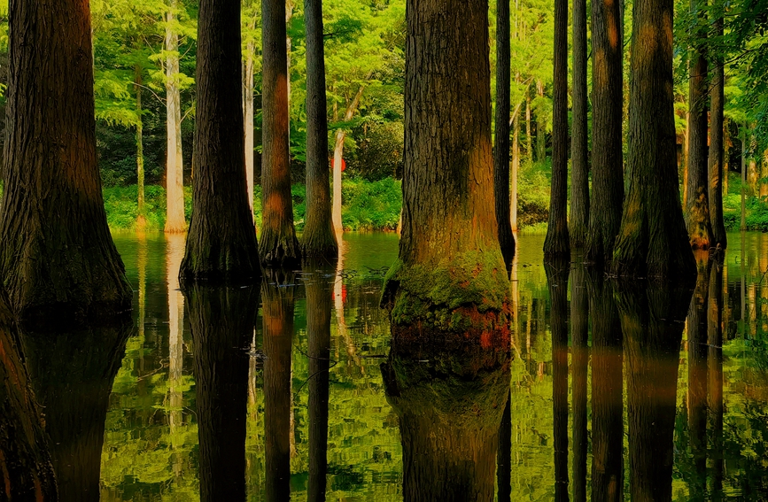河南信阳：“醉”美鸡公山 盛夏无酷暑