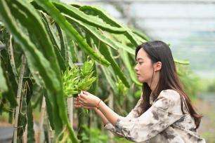 台湾母女田园创业记